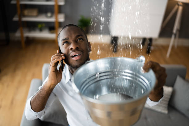 Best Local water damage restoration  in Kingston Springs, TN