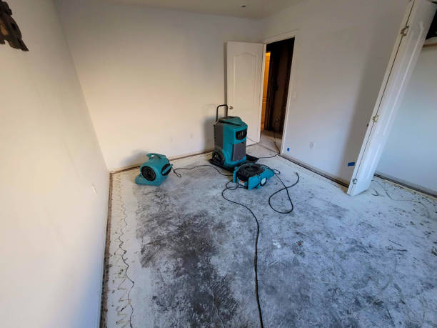 Best Water damage restoration specialists  in Kingston Springs, TN