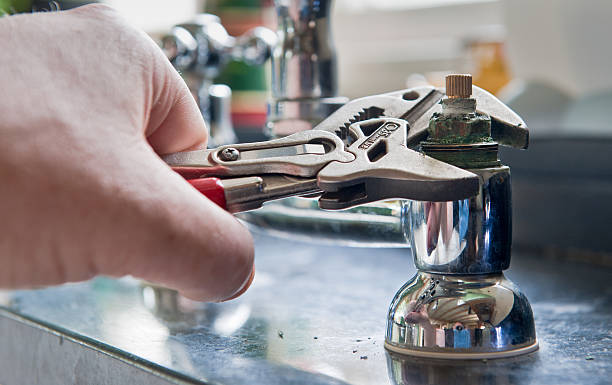 Best Mold removal after water damage  in Kingston Springs, TN