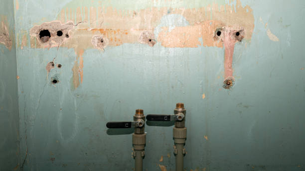 Best Water damage restoration experts  in Kingston Springs, TN