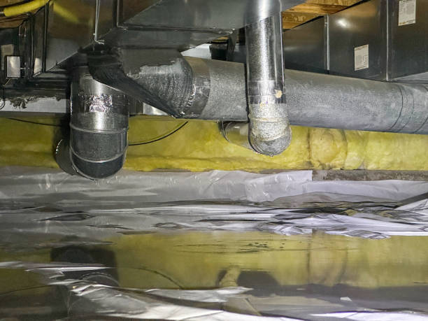Best Basement water damage restoration  in Kingston Springs, TN