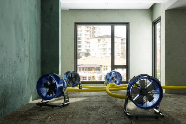 Best Water damage contractors near me  in Kingston Springs, TN