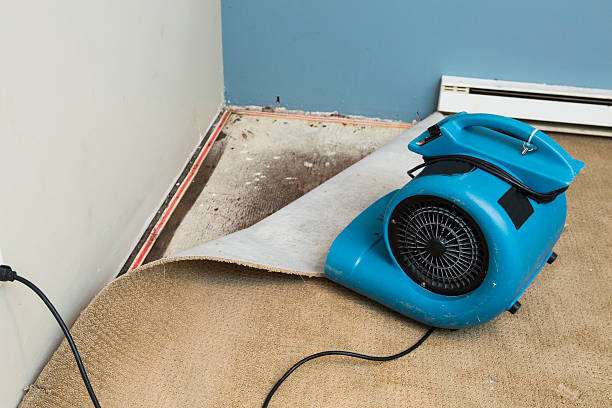 Best Residential water damage restoration  in Kingston Springs, TN